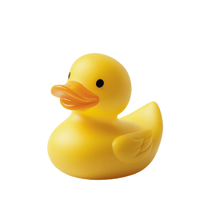 image duck
